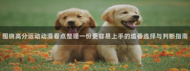 3动漫里番在线观看：围绕高分运动动漫看点整理一份更容易上手的追番选择与判断指南配图