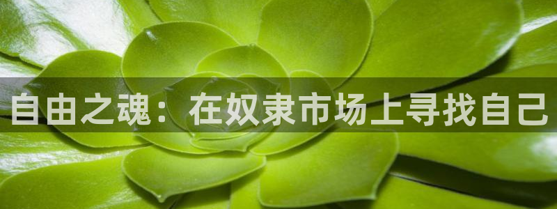 咲良动漫里番在线观看：自由之魂：在奴隶市场上寻找自己配图