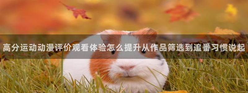 各种里番动漫在线观看：高分运动动漫评价观看体验怎么提升从作品筛选到追番习惯说起配图