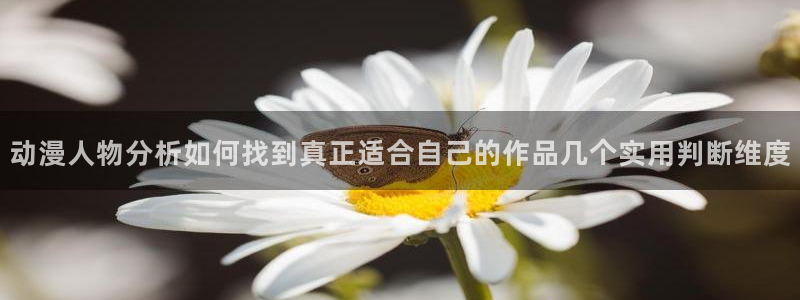 动漫番里在线观看：动漫人物分析如何找到真正适合自己的作品几个实用判断维度配图