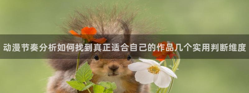 里番动漫在线观看i：动漫节奏分析如何找到真正适合自己的作品几个实用判断维度配图