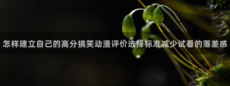 琴女里番动漫在线观看：怎样建立自己的高分搞笑动漫评价选择标准减少试看的落差感配图
