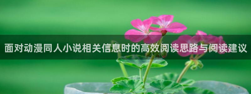 妖精里番在线观看动漫:面对动漫同人小说相关信息时的高效阅读思路与阅读建议配图