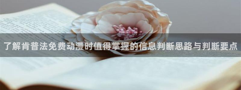 里番肉番动漫在线观看:了解肯普法免费动漫时值得掌握的信息判断思路与判断要点配图