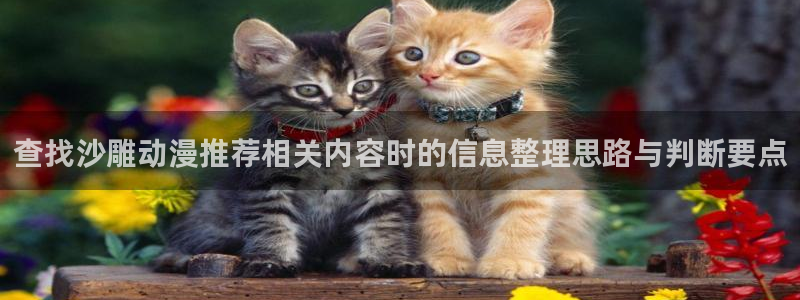 里番动漫手机在线观看：查找沙雕动漫推荐相关内容时的信息整理思路与判断要点配图