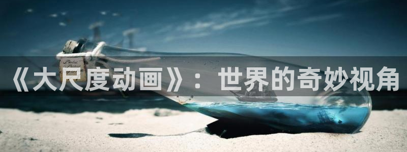 里番变态动漫在线观看:《大尺度动画》:世界的奇妙视角配图