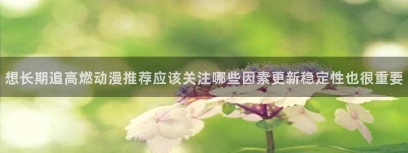 动漫里番在线观看：想长期追高燃动漫推荐应该关注哪些因素更新稳定性也很重要配图