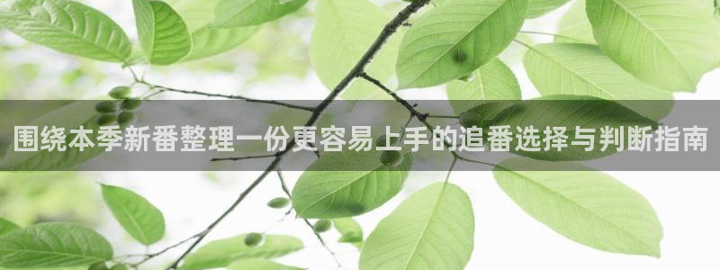 母系里番动漫在线观看：围绕本季新番整理一份更容易上手的追番选择与判断指南配图